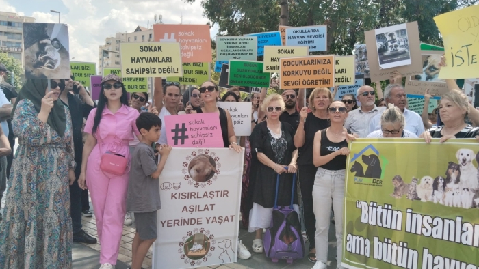 Hayvanseverler sokak hayvanları için toplandı: “kanun teklifi geri çekilmelidir”